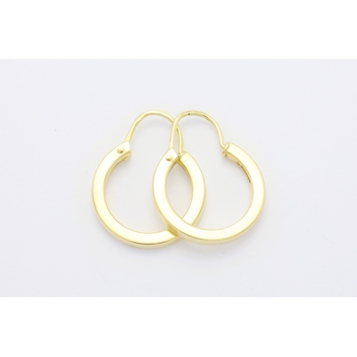 Zlat&eacute; n&aacute;u&scaron;nice 2,70&nbsp;g 14kt